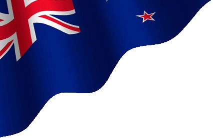 Top SEO Agency in Rotorua
